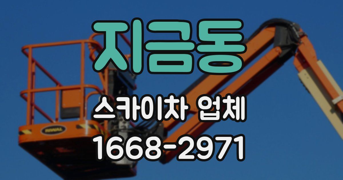 지금동 스카이차 업체