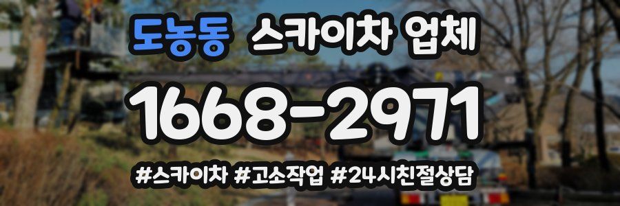 도농동 스카이차 업체