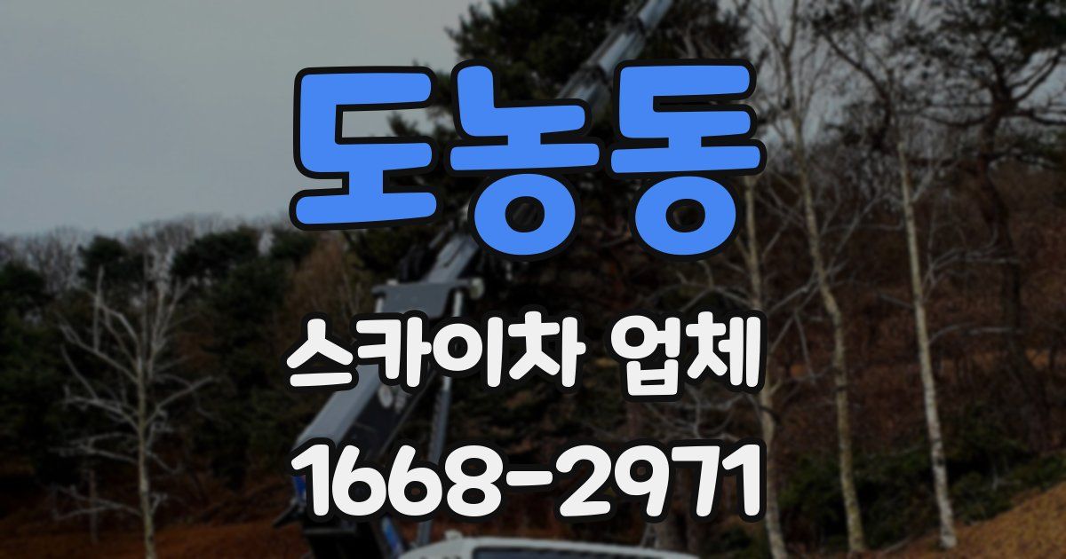 도농동 스카이차 업체