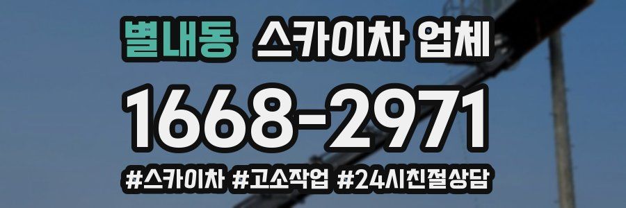 별내동 스카이차 업체