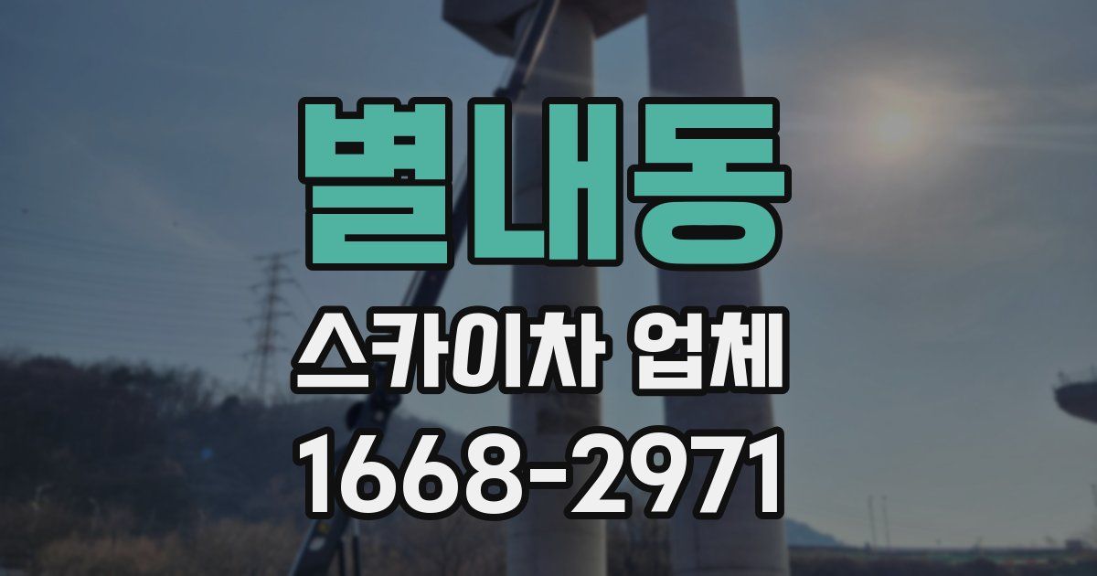 별내동 스카이차 업체