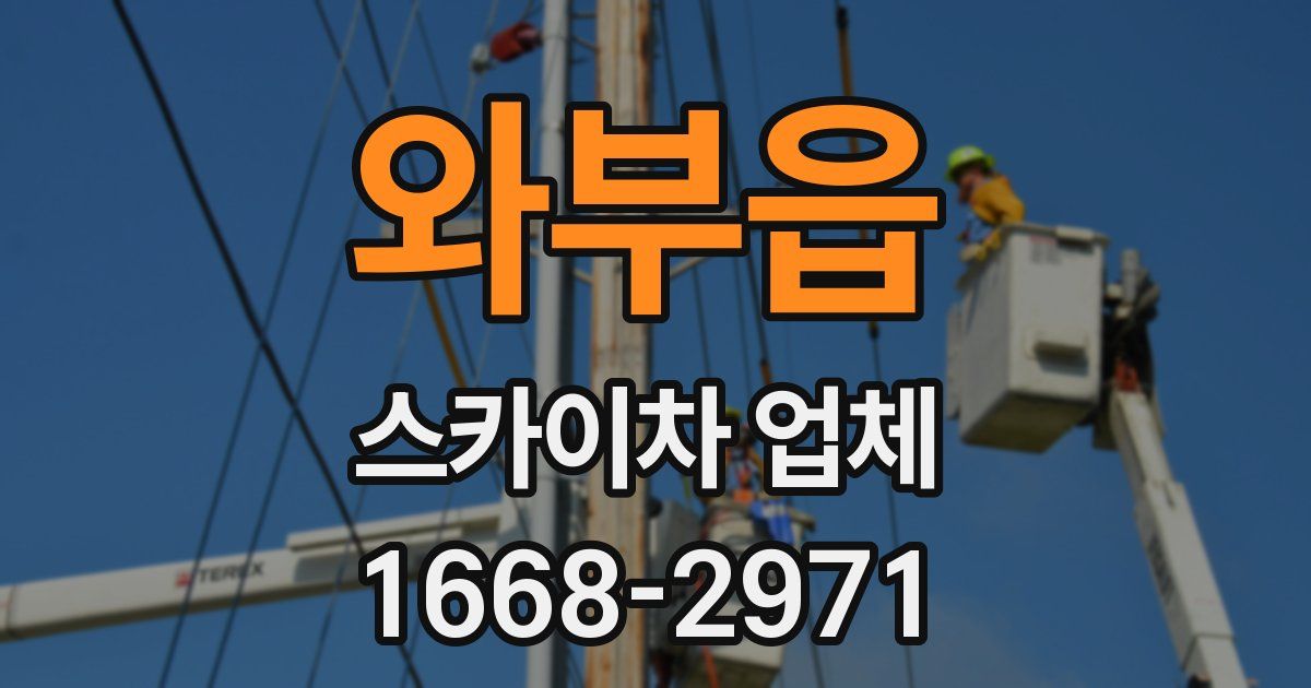 와부읍 스카이차 업체