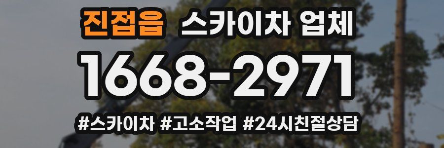 진접읍 스카이차 업체