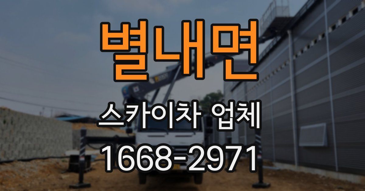 별내면 스카이차 업체