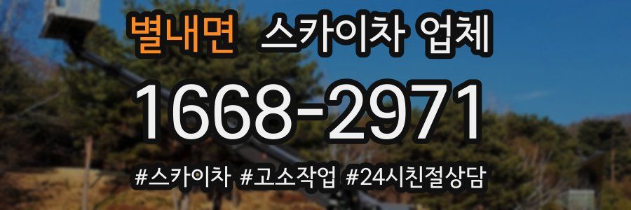 별내면 스카이차 업체