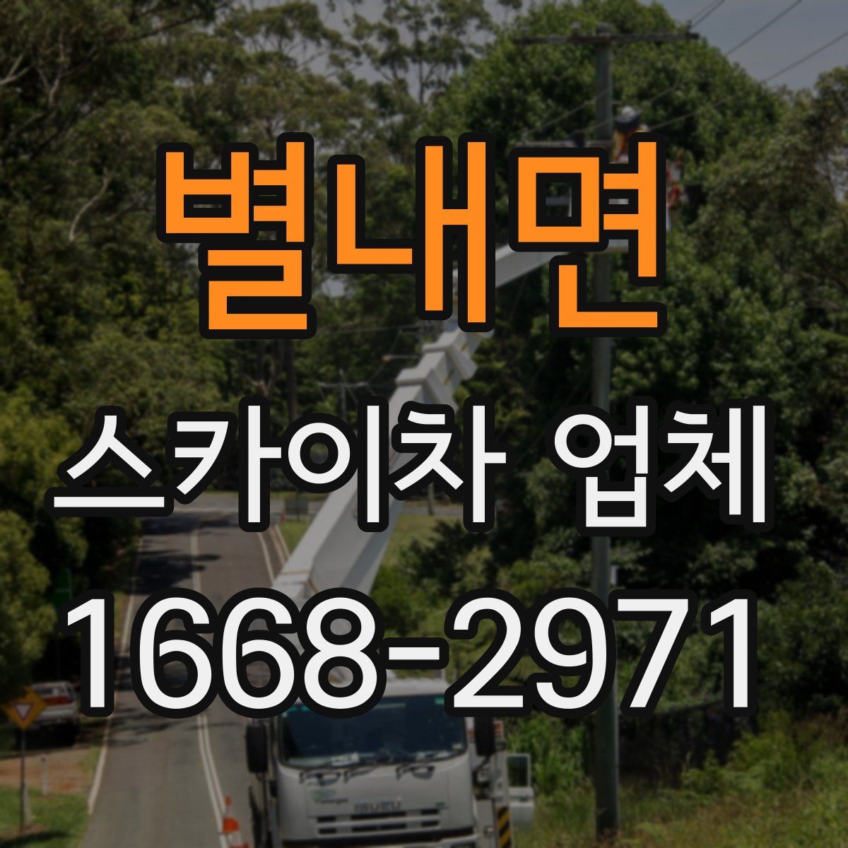 별내면 스카이차 업체