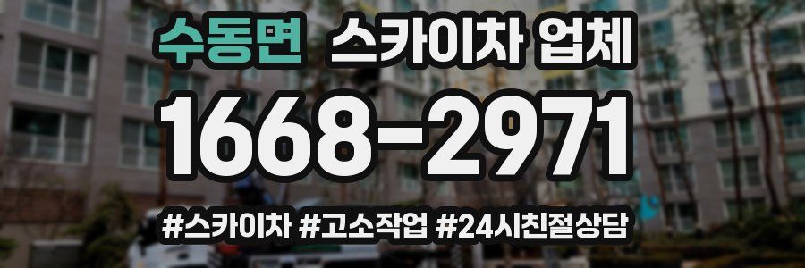 수동면 스카이차 업체