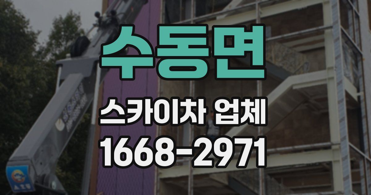 수동면 스카이차 업체