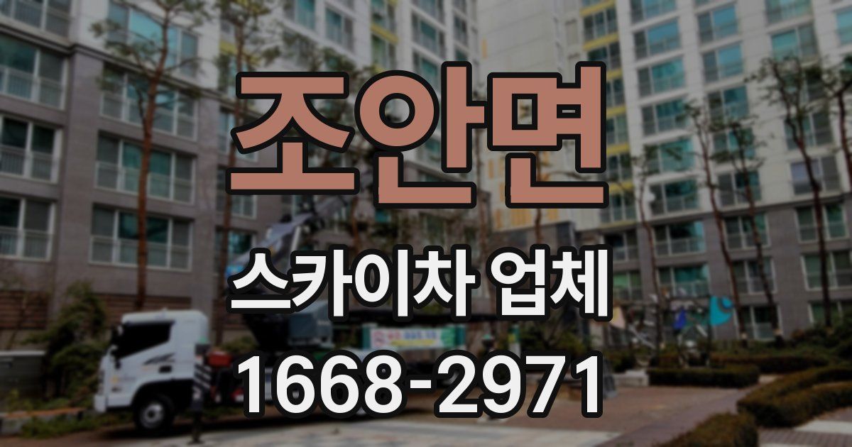 조안면 스카이차 업체