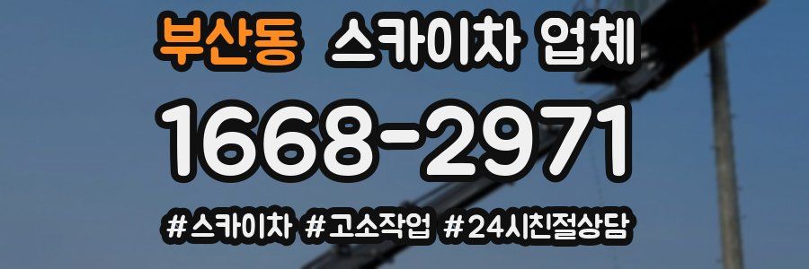 부산동 스카이차 업체