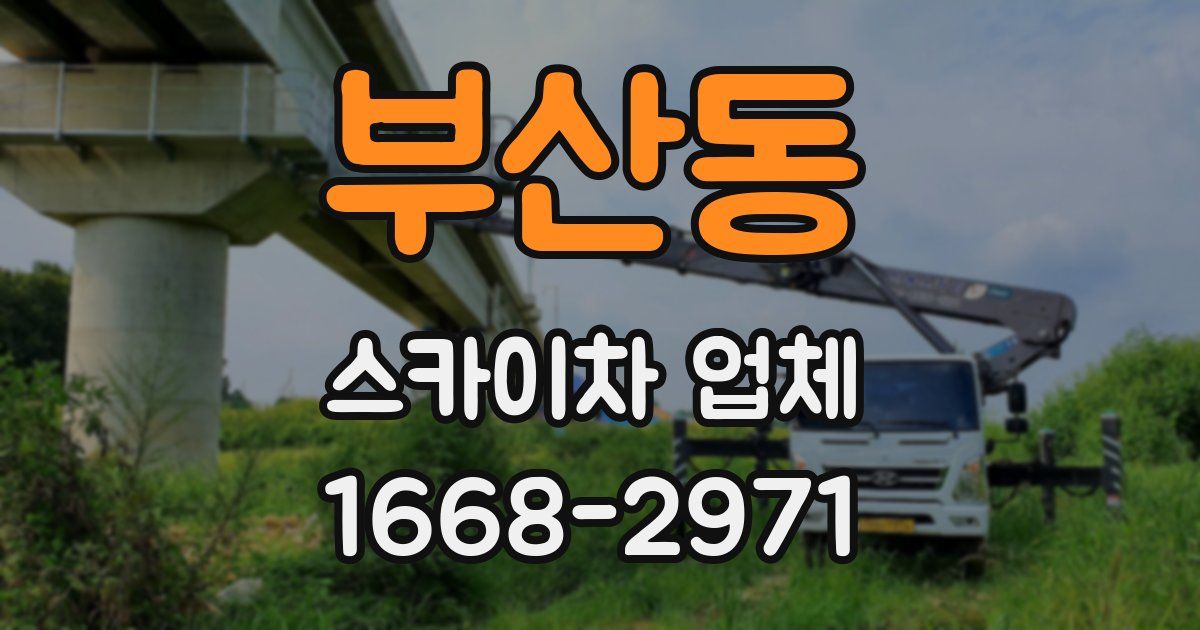 부산동 스카이차 업체
