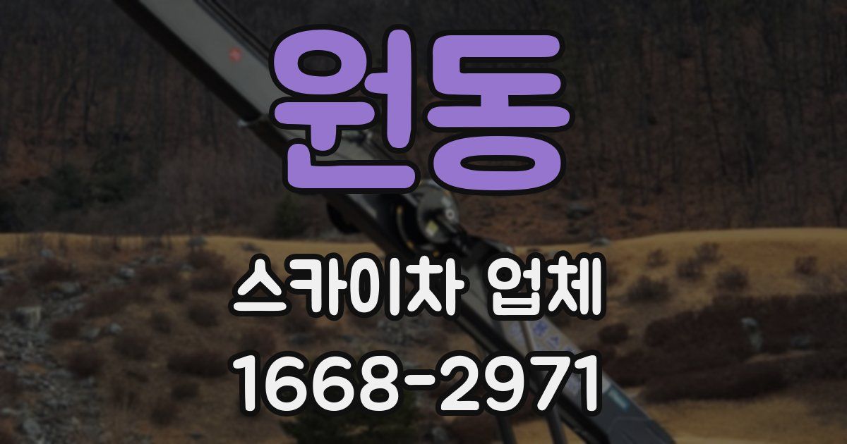 원동 스카이차 업체