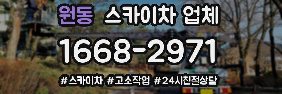 원동 스카이차 업체