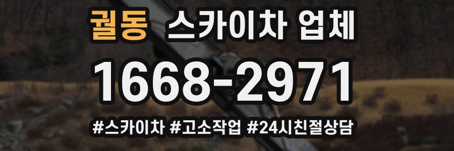 궐동 스카이차 업체