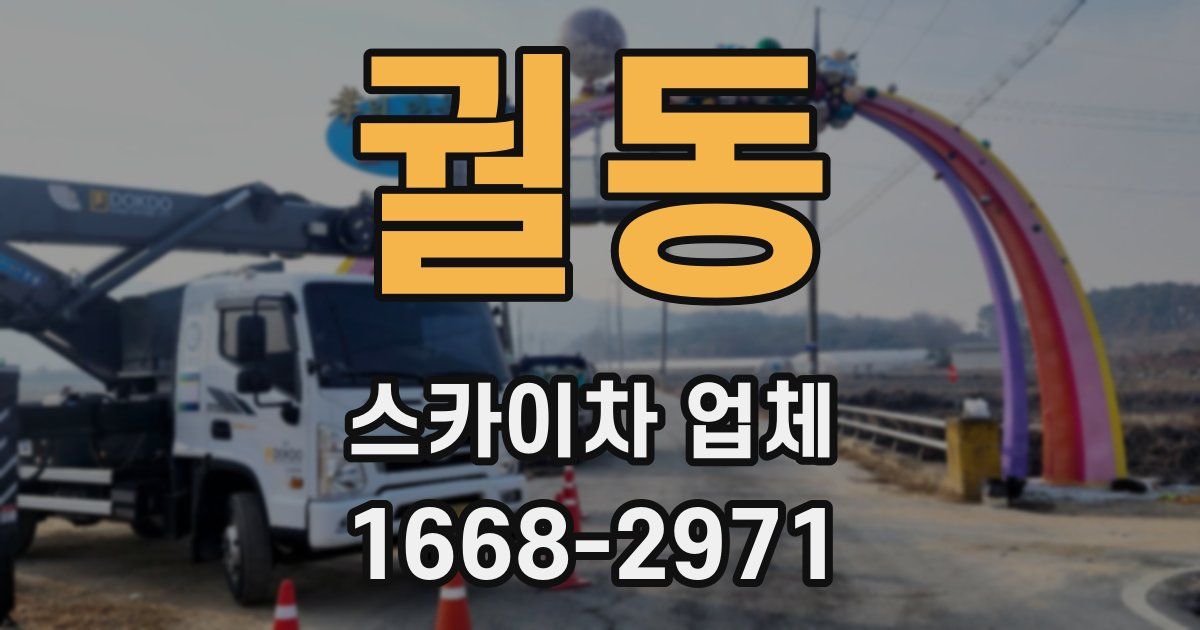 궐동 스카이차 업체
