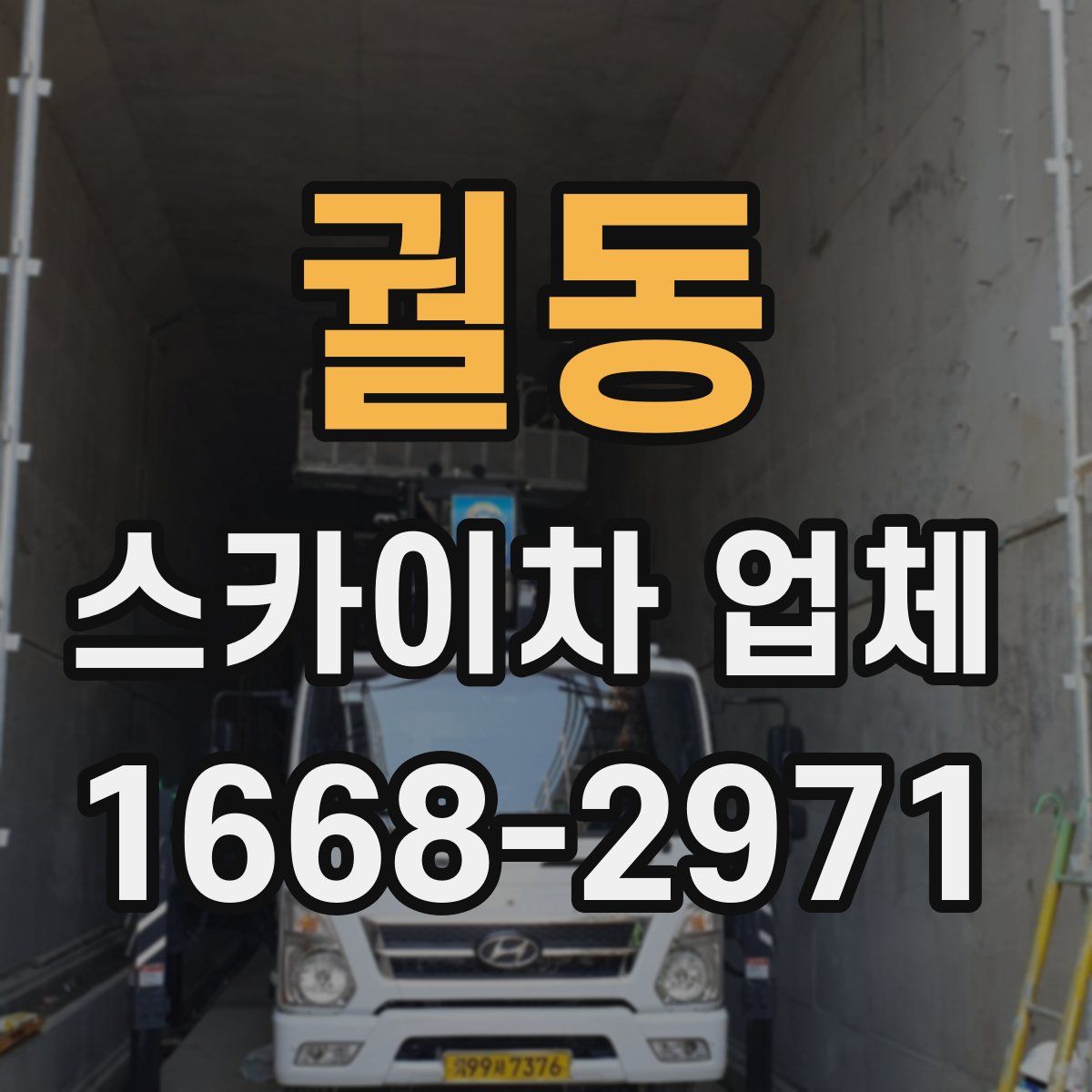 궐동 스카이차 업체