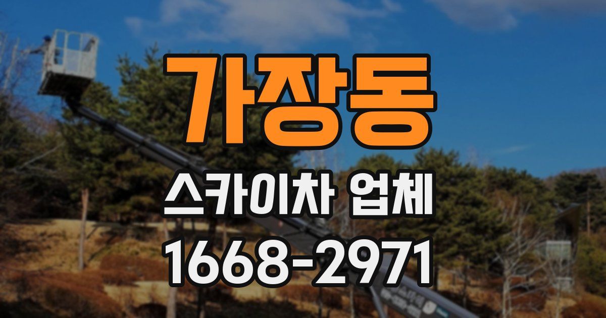 가장동 스카이차 업체