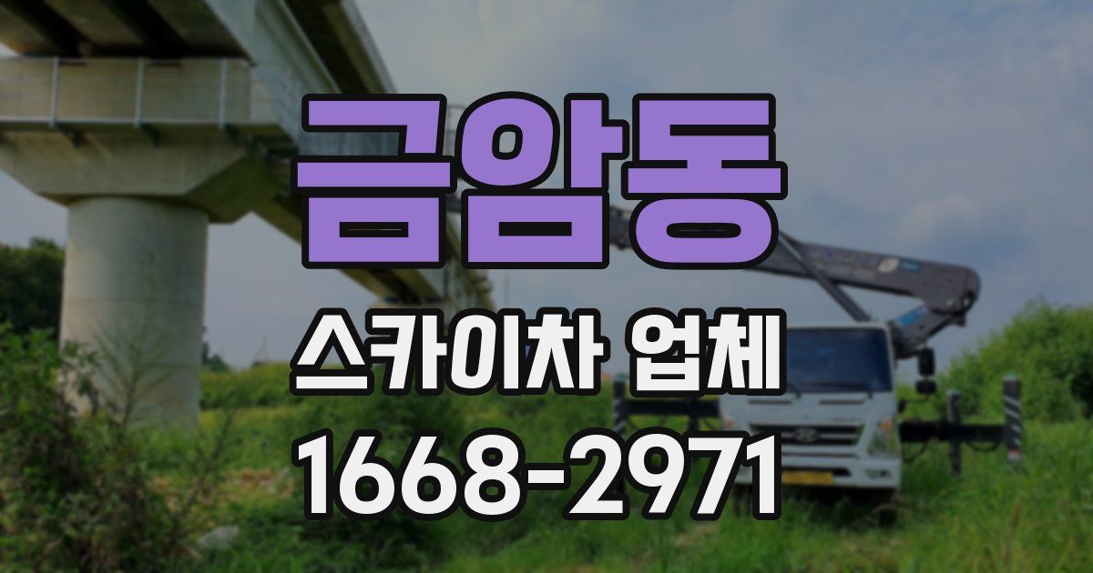 금암동 스카이차 업체