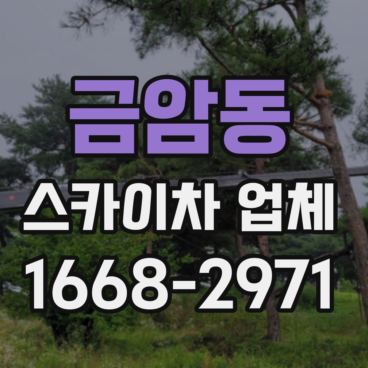 금암동 스카이차 업체
