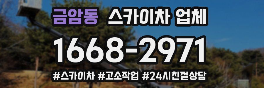 금암동 스카이차 업체