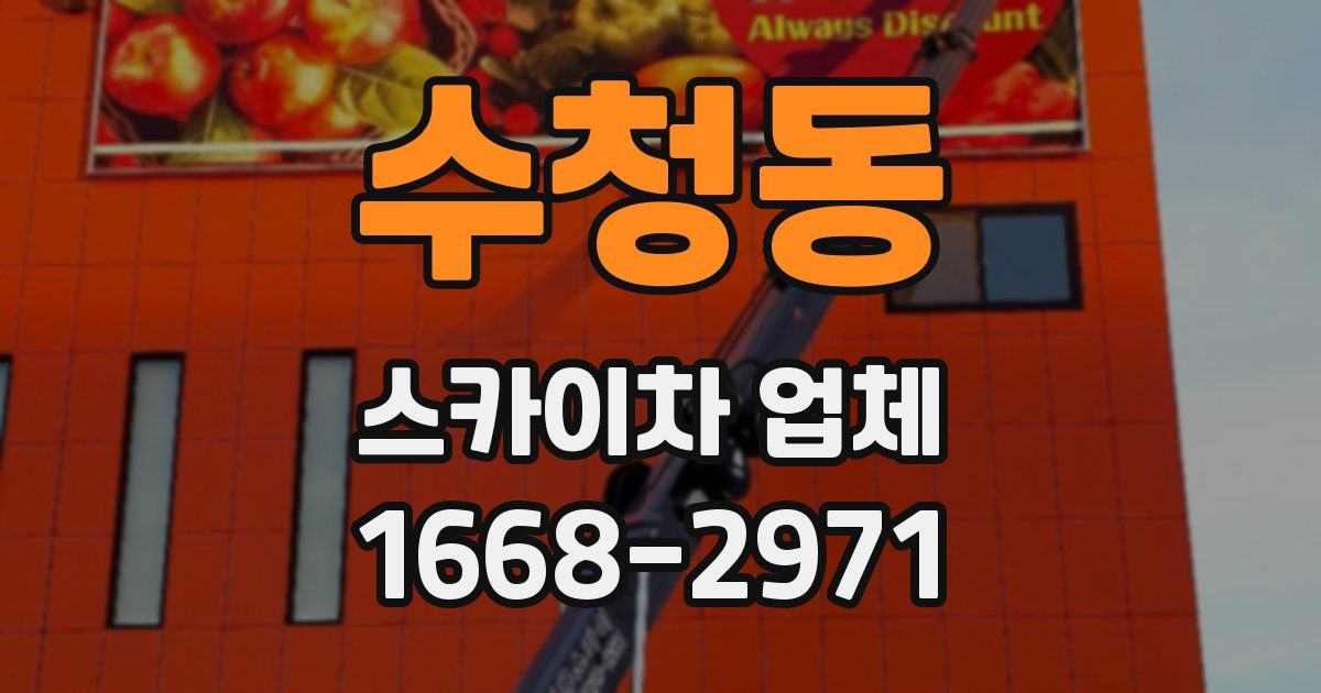 수청동 스카이차 업체