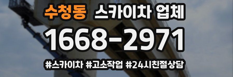 수청동 스카이차 업체