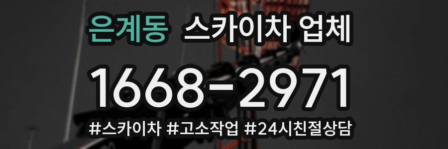은계동 스카이차 업체
