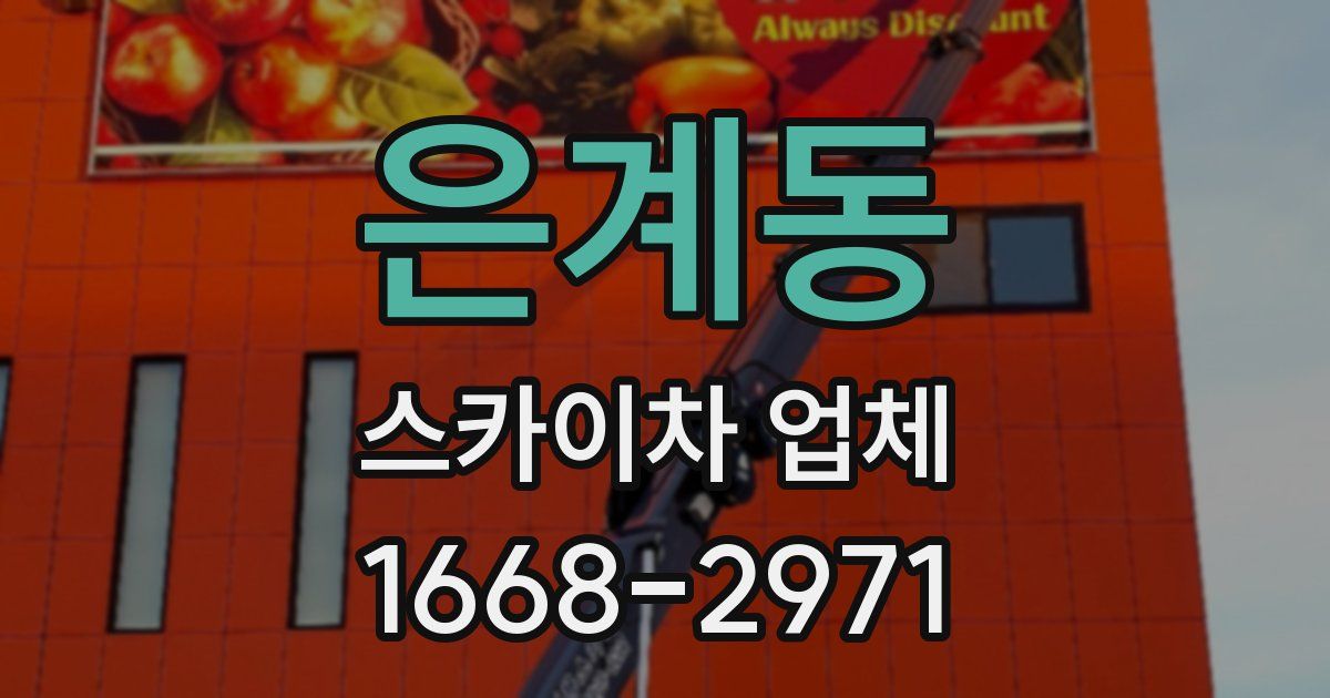 은계동 스카이차 업체