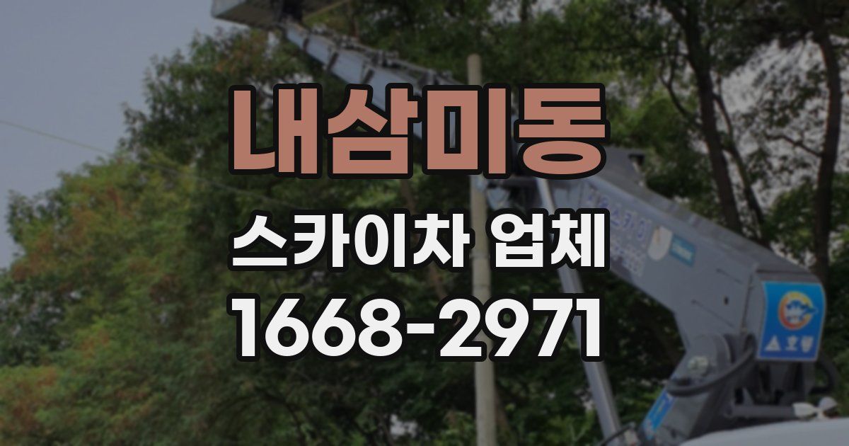 내삼미동 스카이차 업체