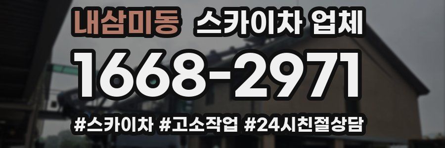 내삼미동 스카이차 업체