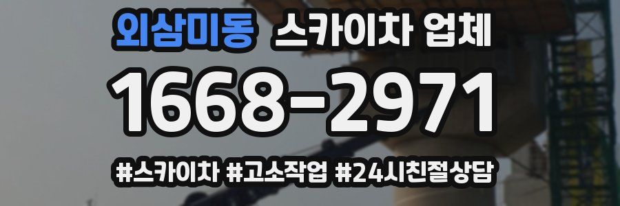외삼미동 스카이차 업체
