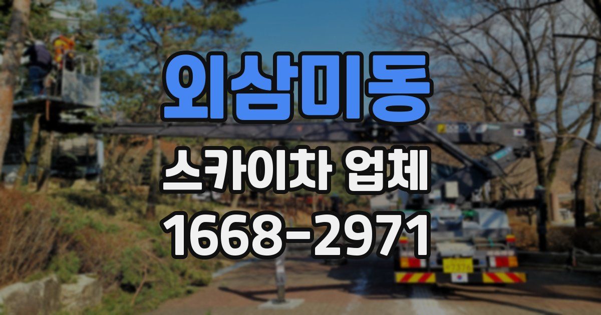 외삼미동 스카이차 업체