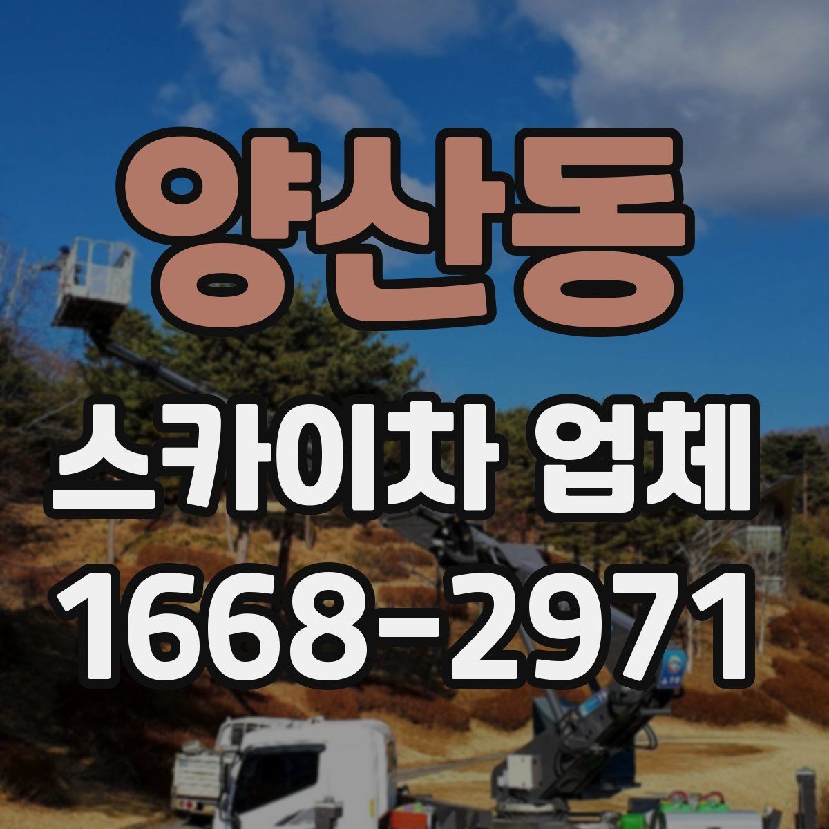 양산동 스카이차 업체 이용 경험이 중요한 이유