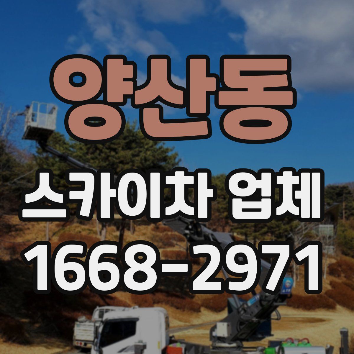 양산동 스카이차 업체