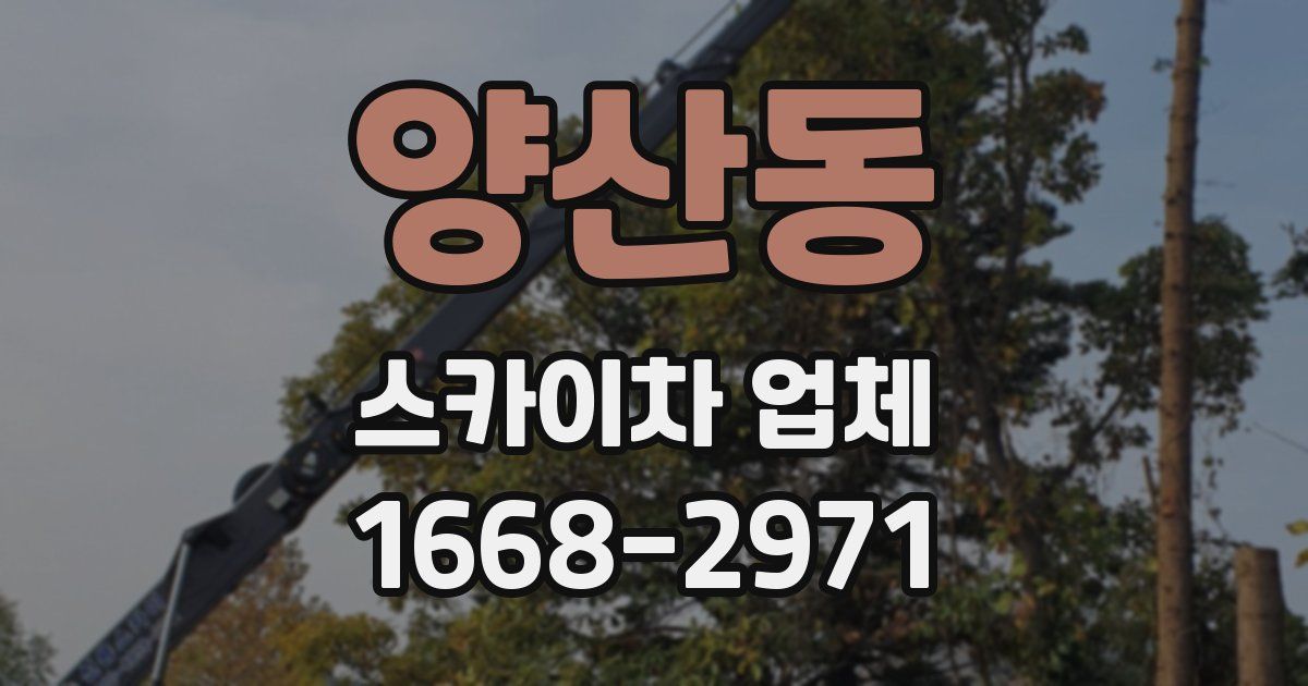 양산동 스카이차 업체