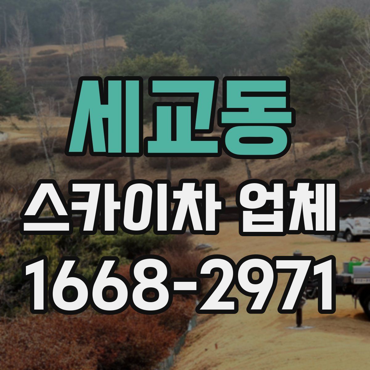 세교동 스카이차 업체