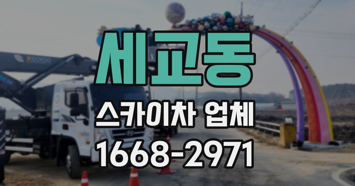 세교동 스카이차 업체