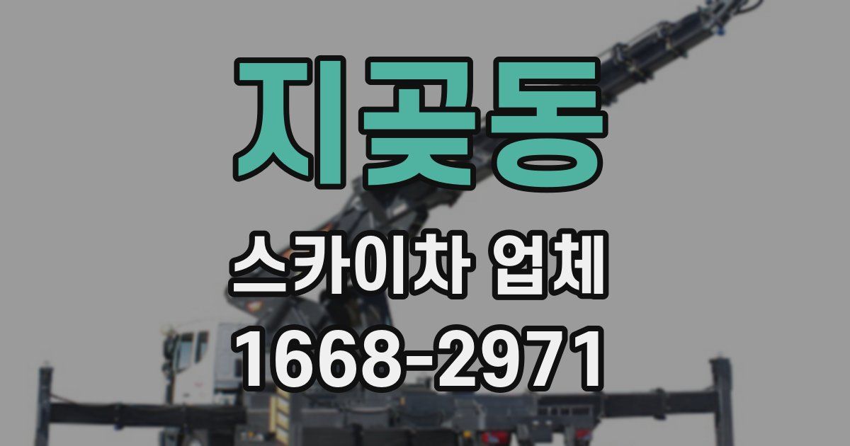 지곶동 스카이차 업체