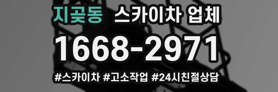지곶동 스카이차 업체