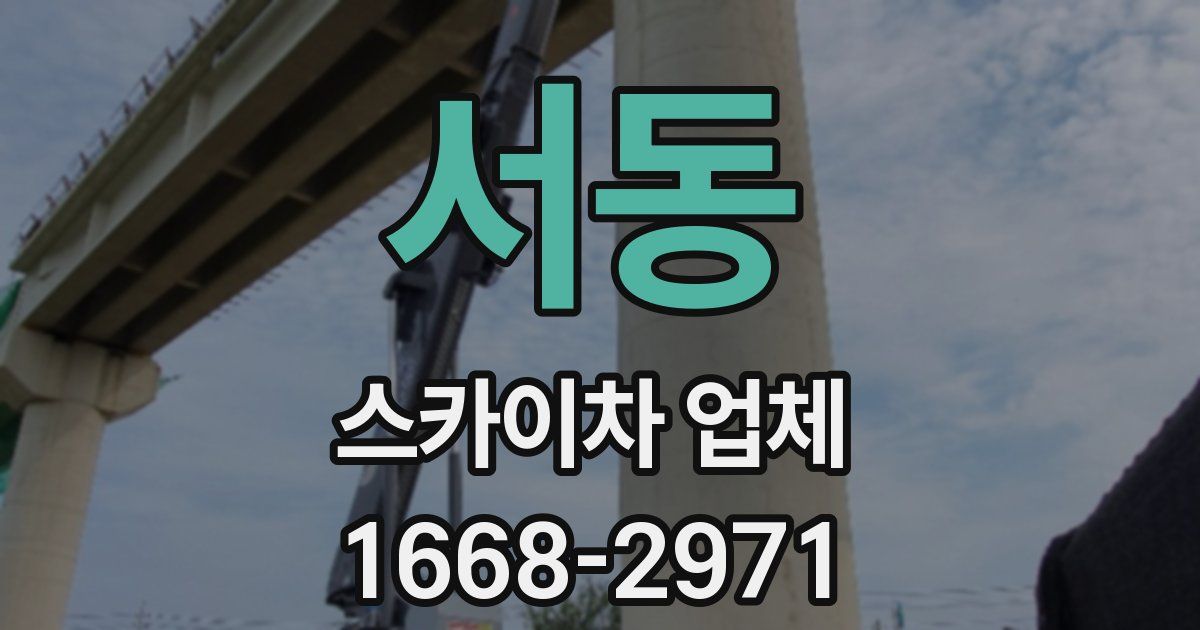 서동 스카이차 업체