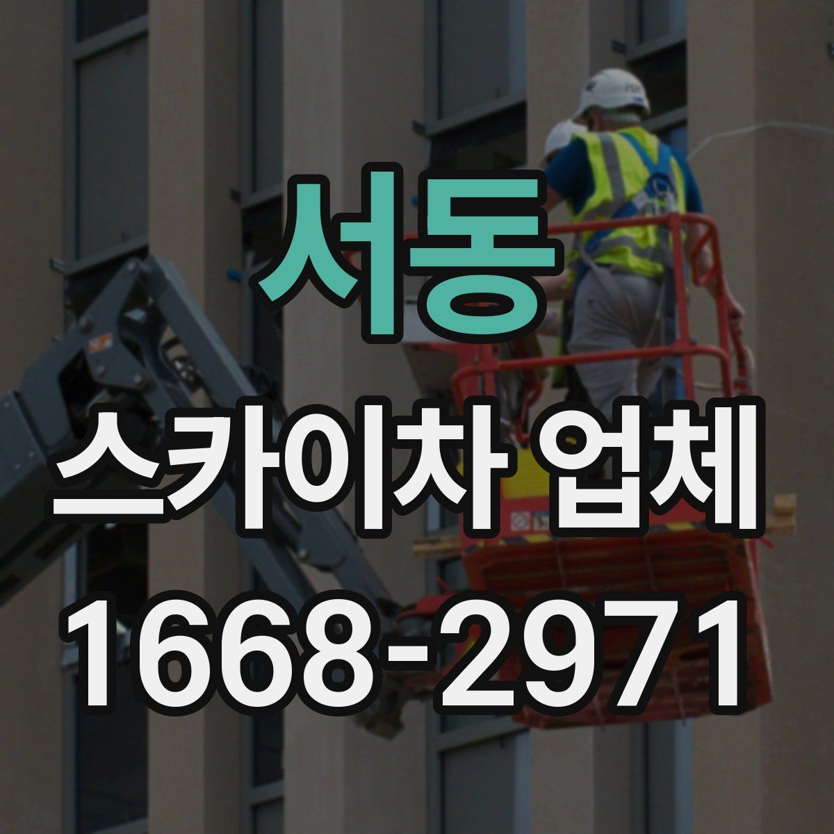 서동 스카이차 업체