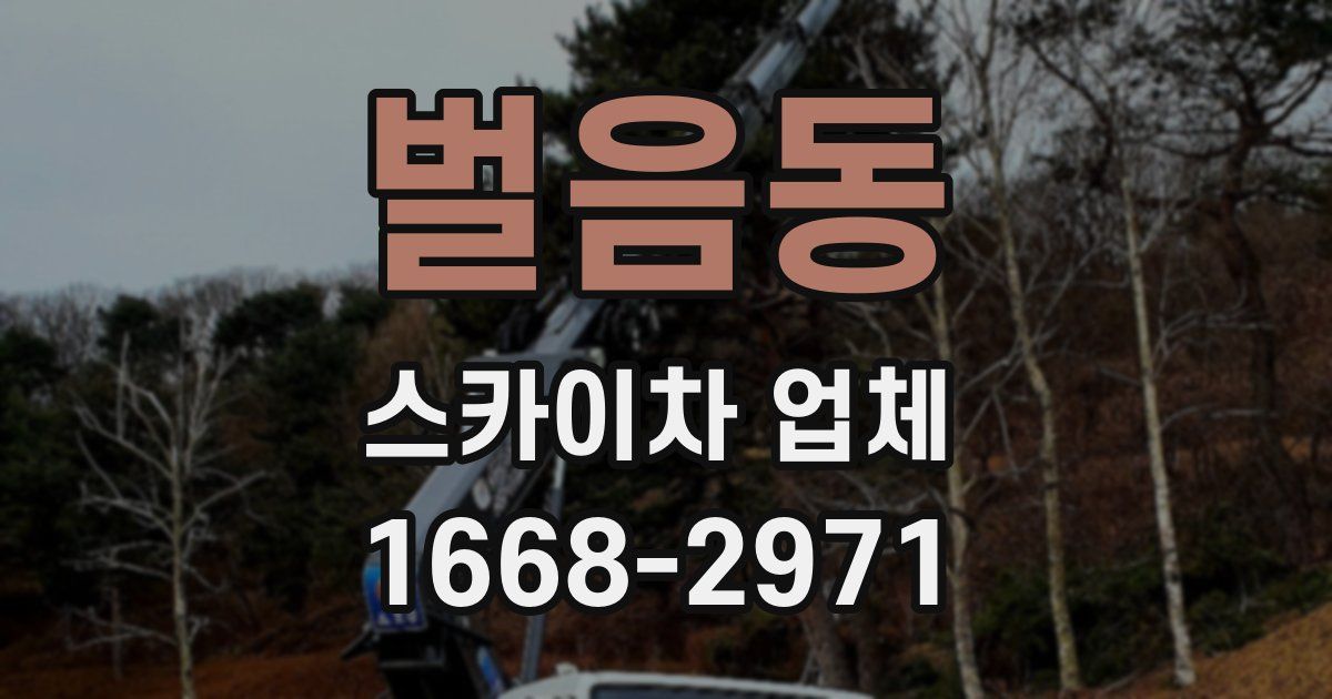 벌음동 스카이차 업체