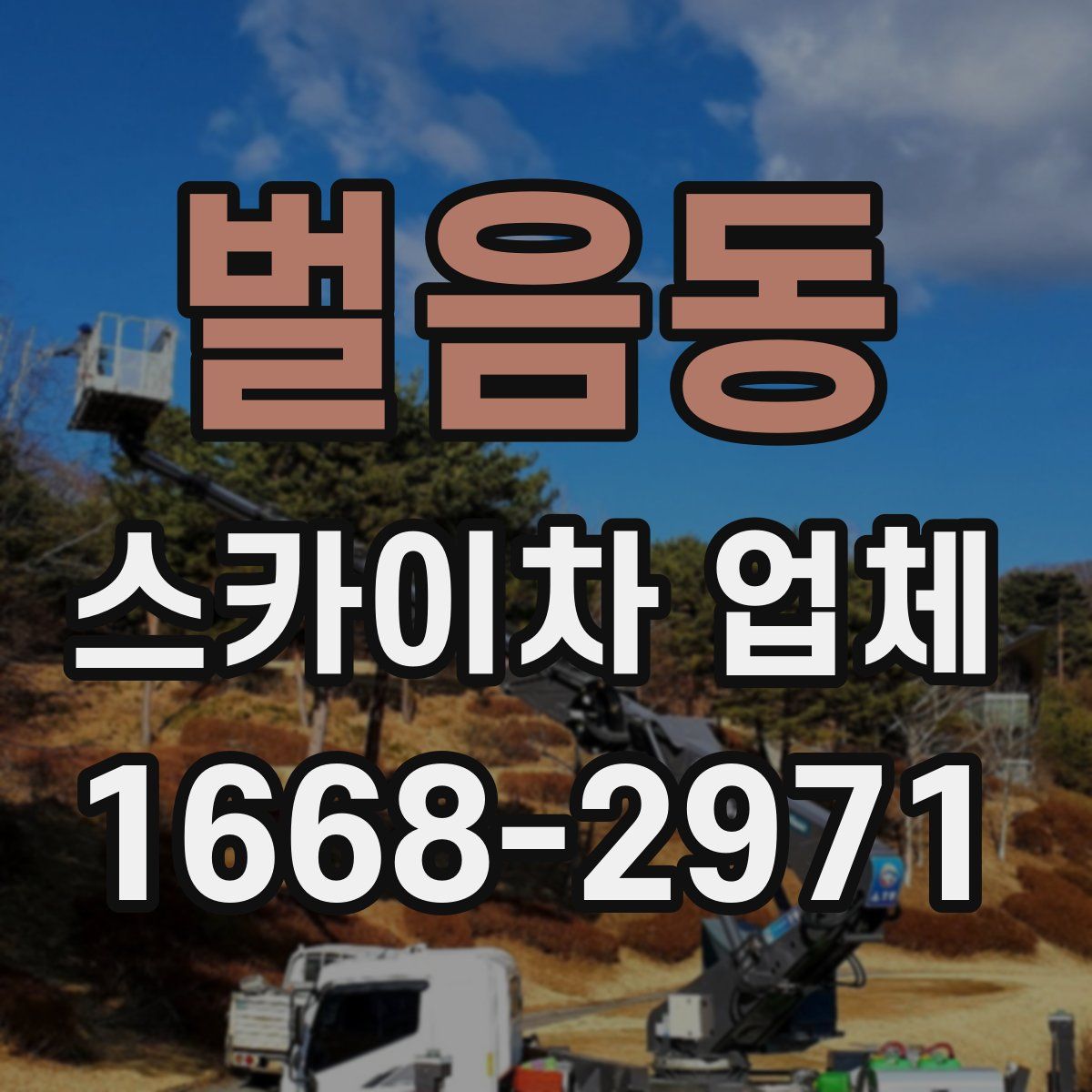 벌음동 스카이차 업체