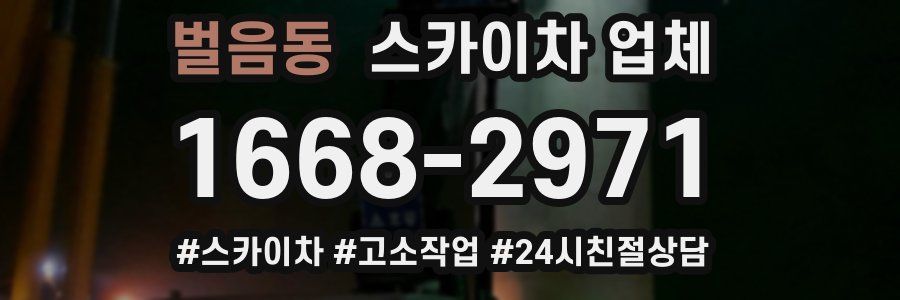 벌음동 스카이차 업체