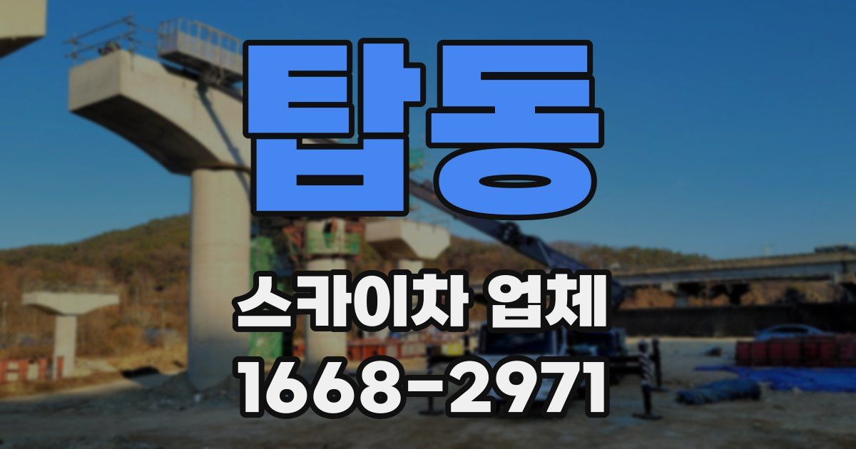 탑동 스카이차 업체