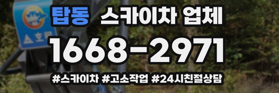 탑동 스카이차 업체