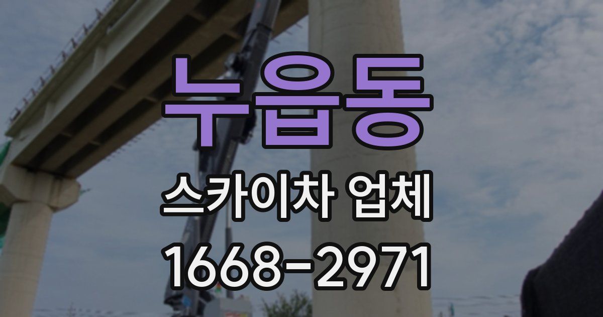 누읍동 스카이차 업체