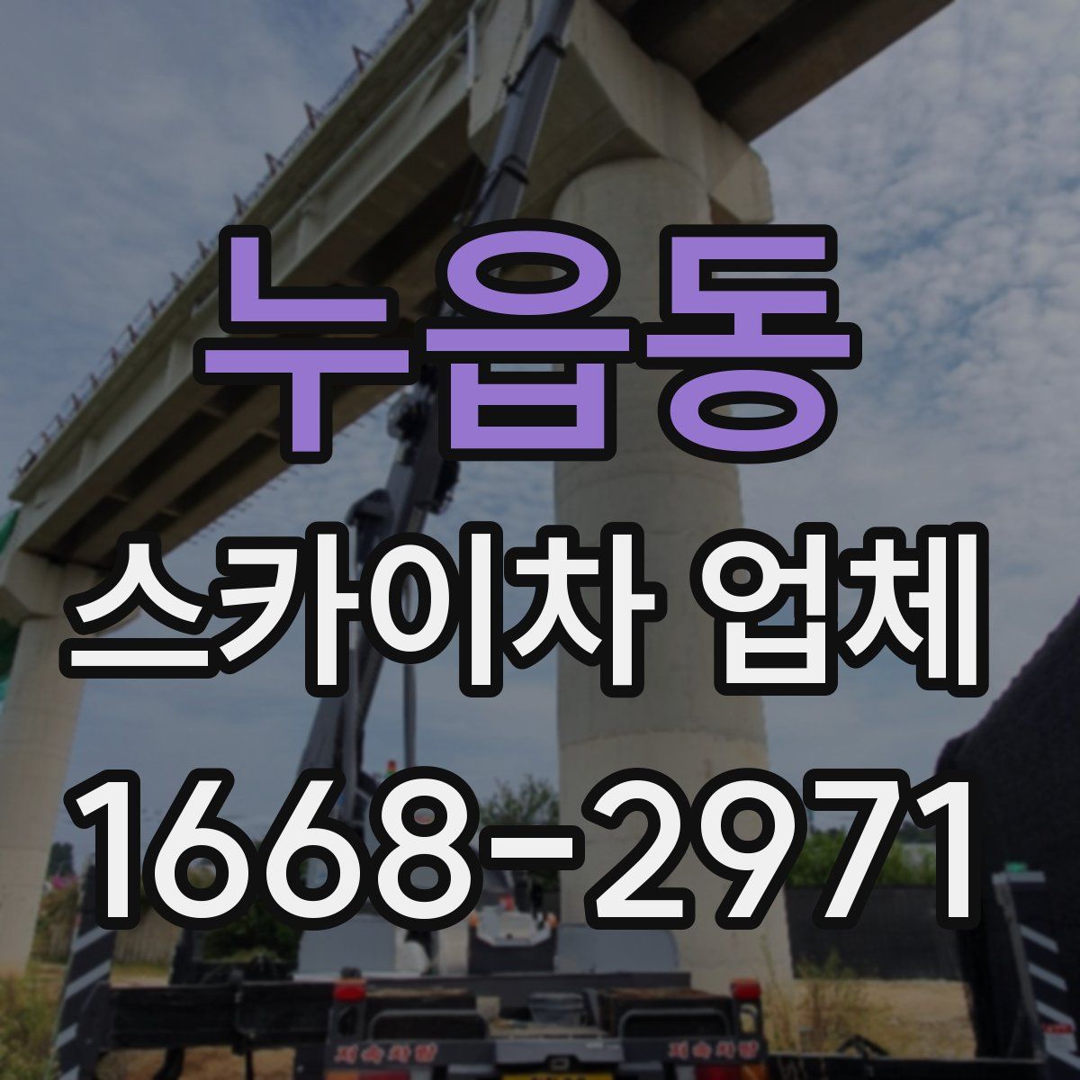 누읍동 스카이차 업체