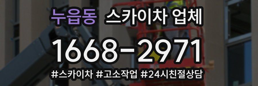 누읍동 스카이차 업체
