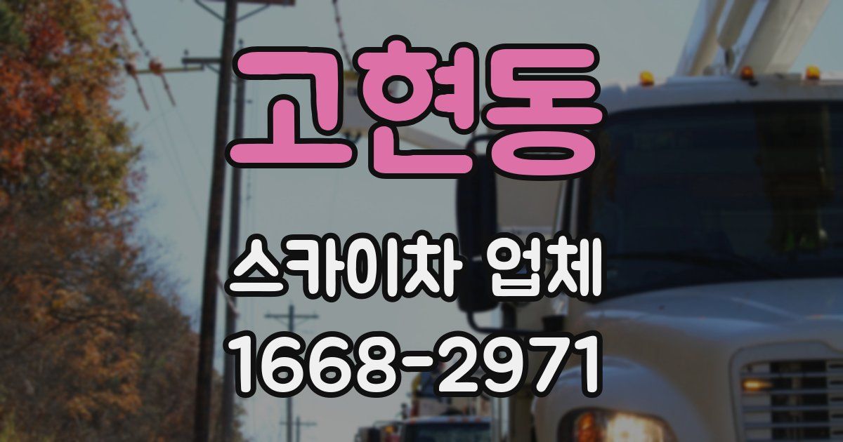 고현동 스카이차 업체